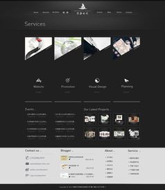 網(wǎng)站建設與數(shù)據(jù)處理服務 數(shù)字化時代的核心驅動力